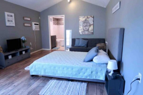 1BR Montrose Balcony Downtown Medical Center